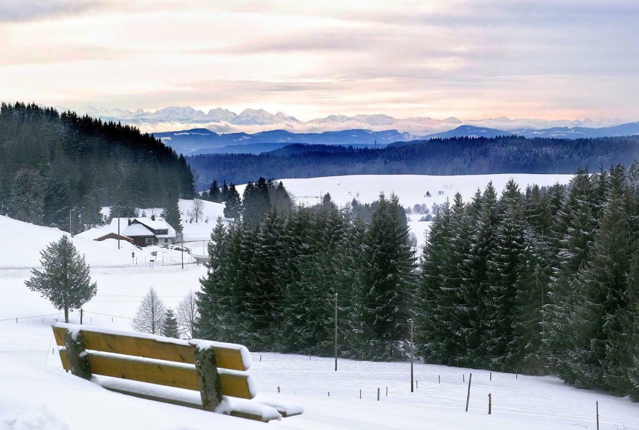 C3 Albmatte-Fewo Sauna, Hallenbad Aussenbecken Massagen Nebenan St. Blasien Exterior photo